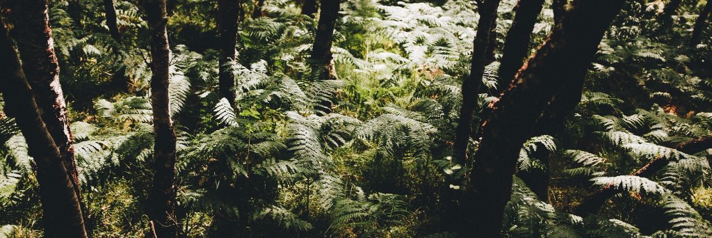 ellenarbrook's profile banner image