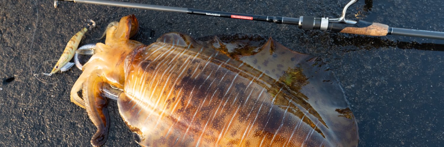 やますてぃ banner