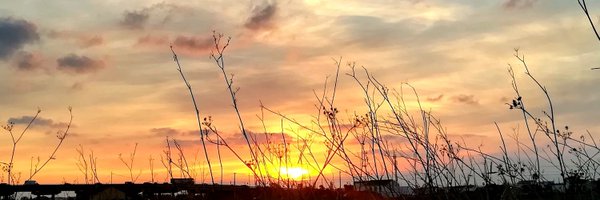 MariaJesusBolta Profile Banner