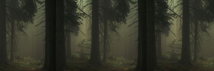 Morfeu banner