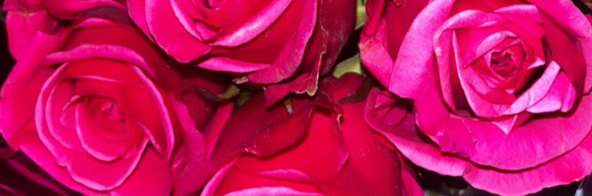 Renee 💛 banner
