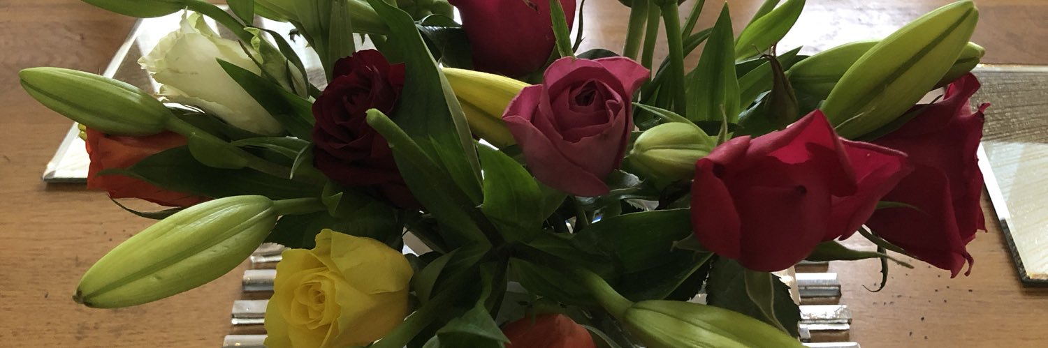 ellymum's profile banner image