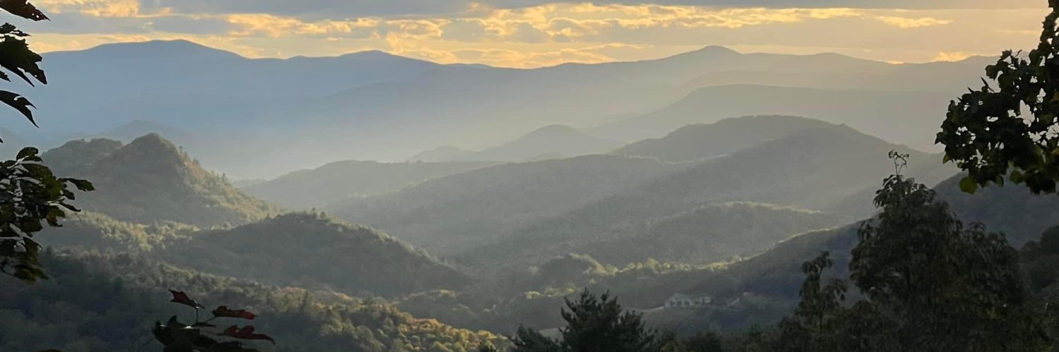 Libbie Armstrong banner