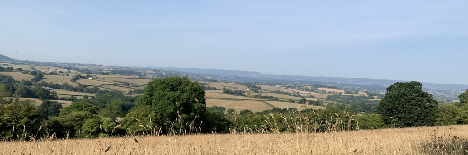 Bryony Wright banner