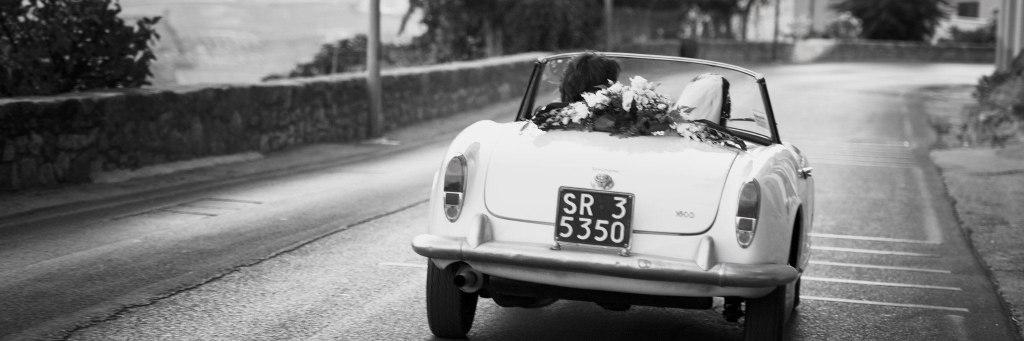 glopizzo's profile banner image