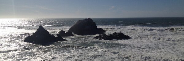 MonicaMJW Profile Banner