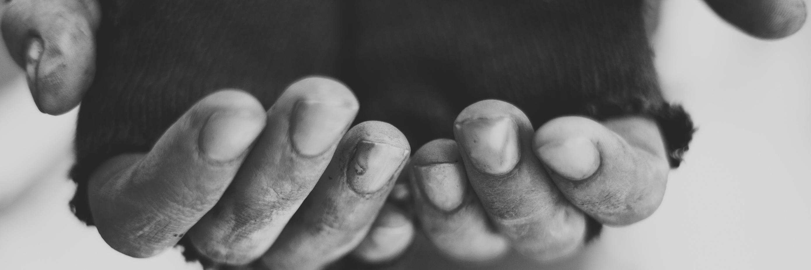 The City Eats 501(c)(3) Non-Profit banner