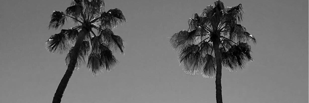 anna_schirack's profile banner image