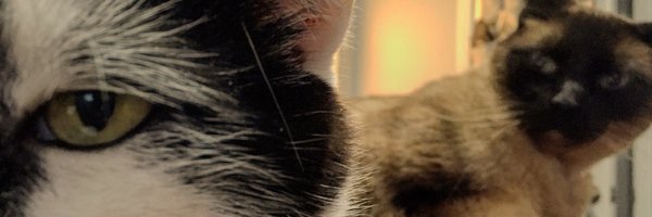 tissna Profile Banner