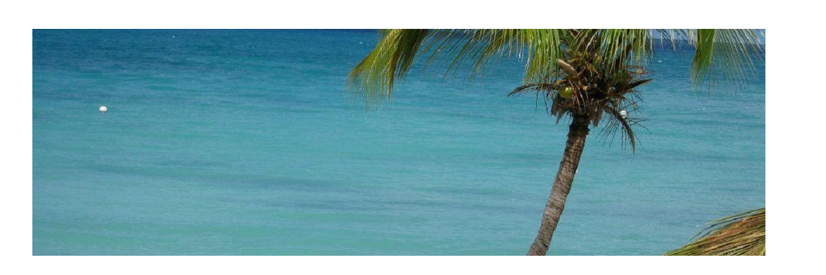 ianwasti's profile banner image