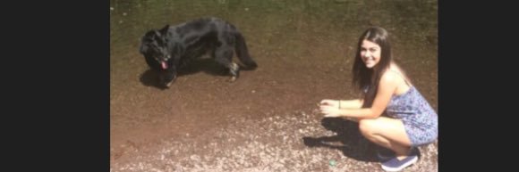 Shannen O' Sullivan banner