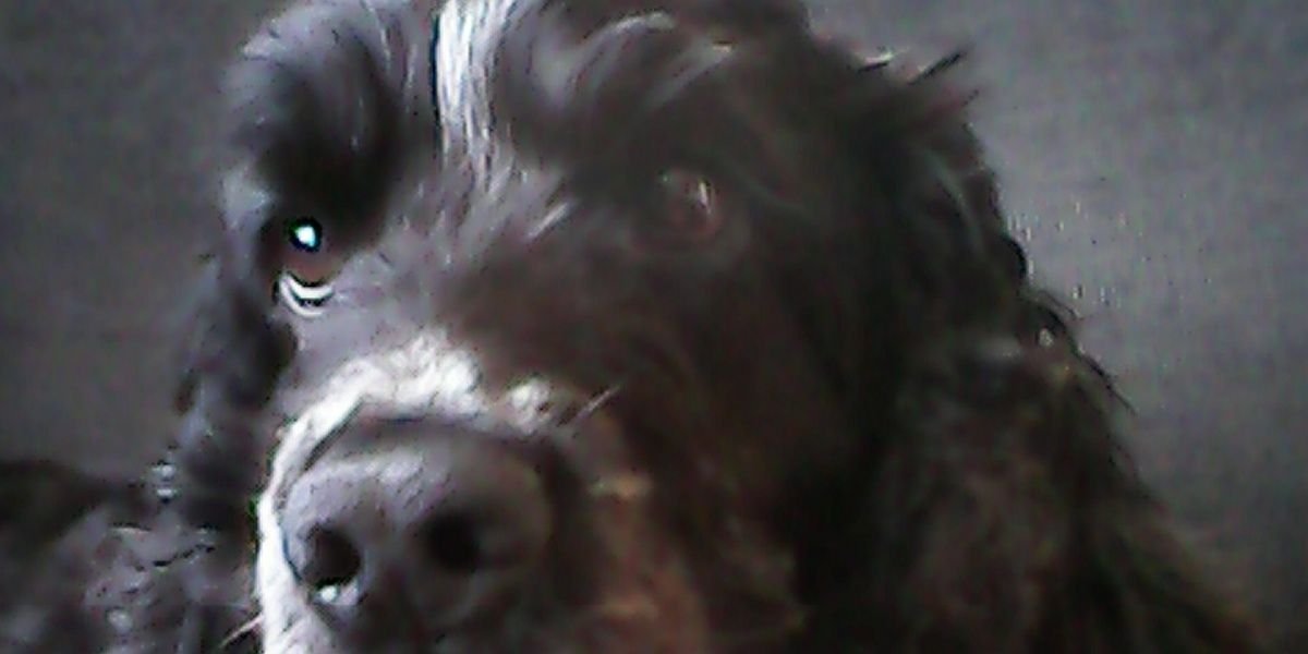 447972923905's profile banner image