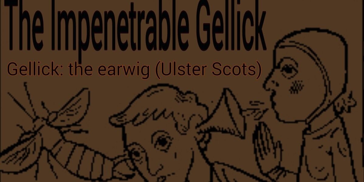 the_gellick's profile banner image