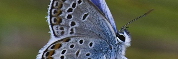 lightacandle2's profile banner image