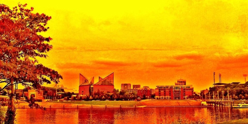 Real_Roots's profile banner image