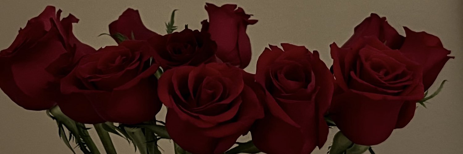 mnooolh69's profile banner image