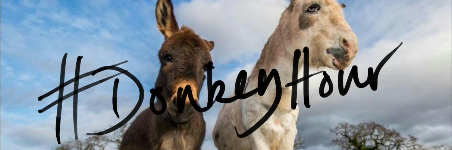 Donkeyhour's profile banner image