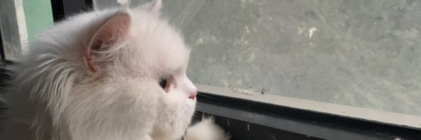 Adeeetttt Profile Banner