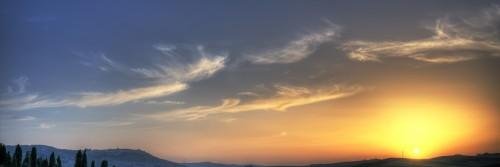 Bintang H. Bornstein banner