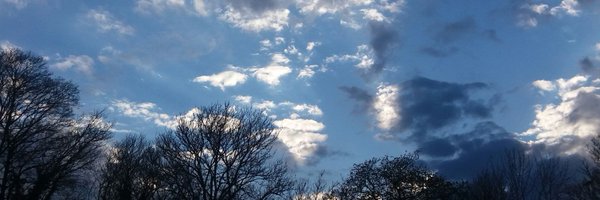 jeffriesxu Profile Banner