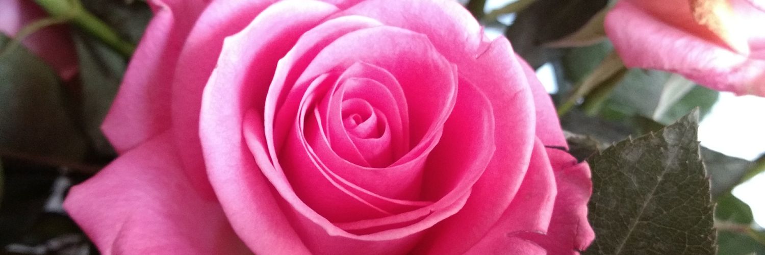 04kasu's profile banner image