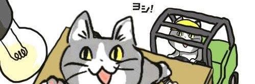 tronkou's profile banner image