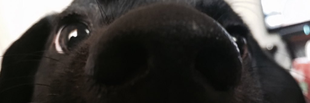 JasonMatiko's profile banner image