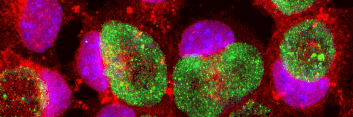 CtBiobank's profile banner image