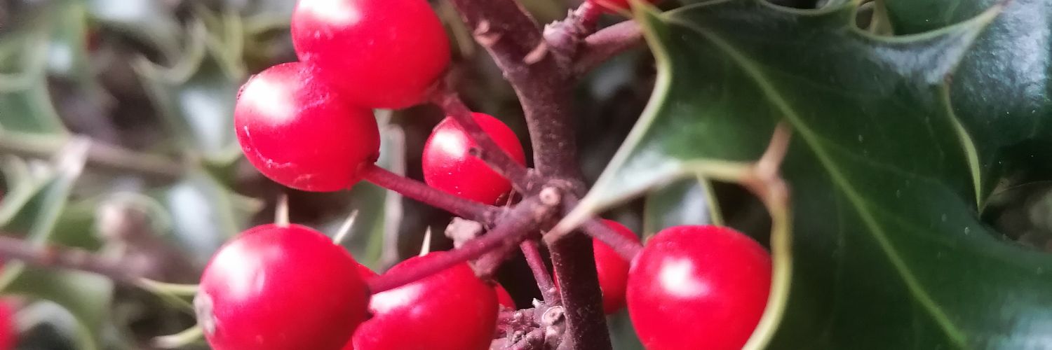 RMR Savage 🇵🇱🌱 Ⓥ banner