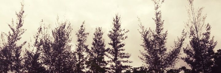 TripelE's profile banner image