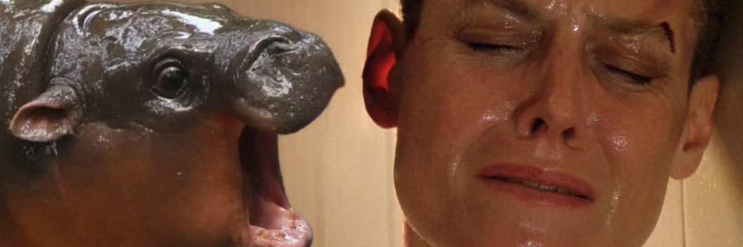 Design 2 Live banner