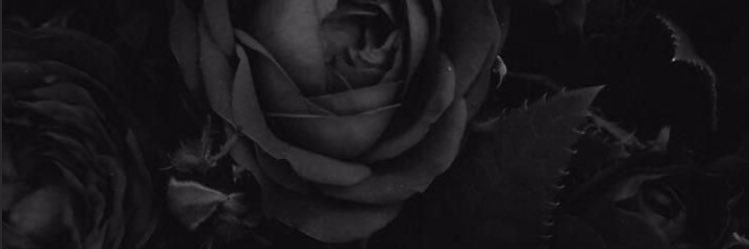 mcelinarocca's profile banner image