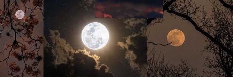 andrebetza's profile banner image