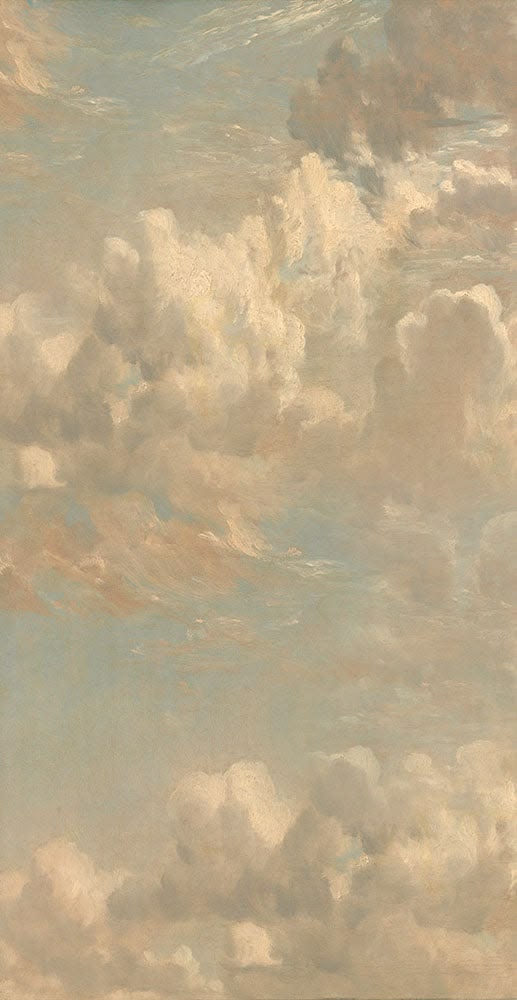 edgardovar's profile banner image