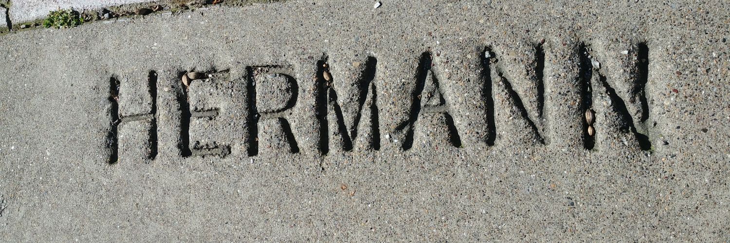 twitthermann's profile banner image