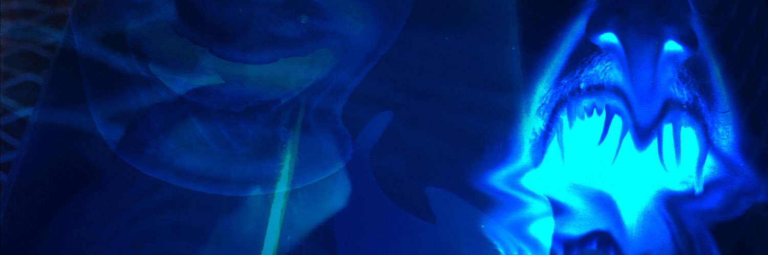squouizie's profile banner image