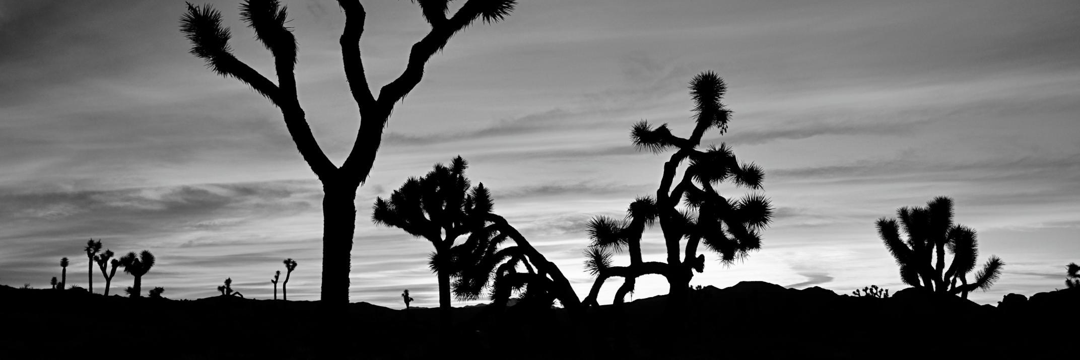 andrewkovar's profile banner image