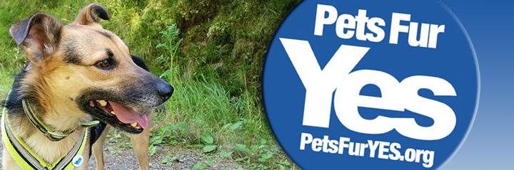 PetsFurYES's profile banner image