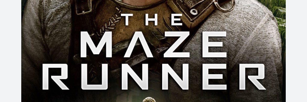 LM banner