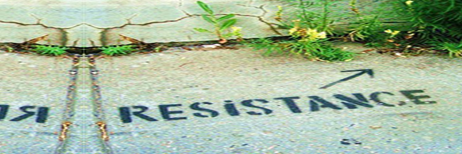 myndzi's profile banner image