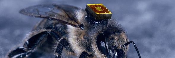 ScienceSFP's profile banner image