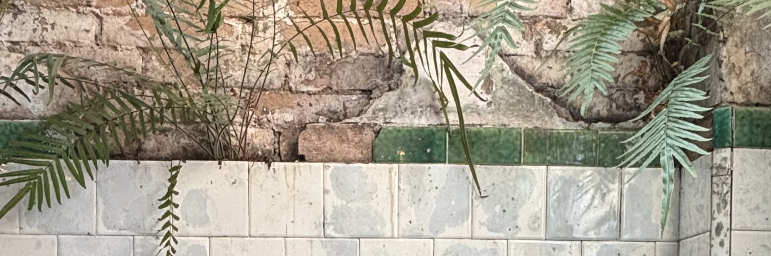 ipanemapoop's profile banner image
