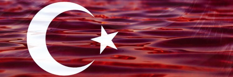 YanTalha's profile banner image