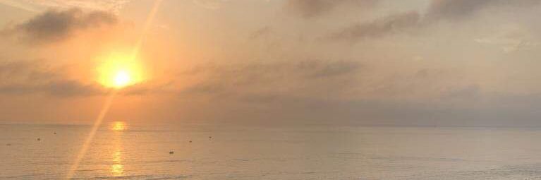 ccanevaro910's profile banner image