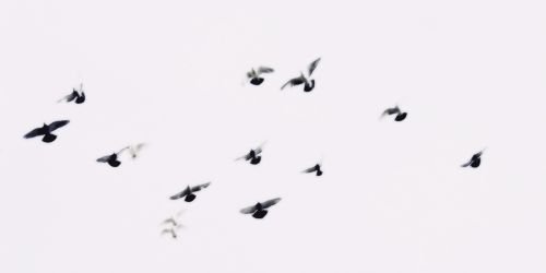 ctrlsoojxng's profile banner image