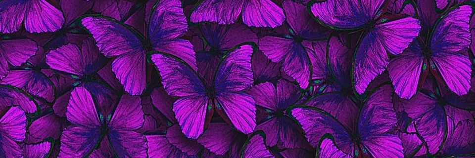 DraJusto's profile banner image