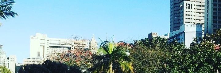 BiG_ZORA19's profile banner image