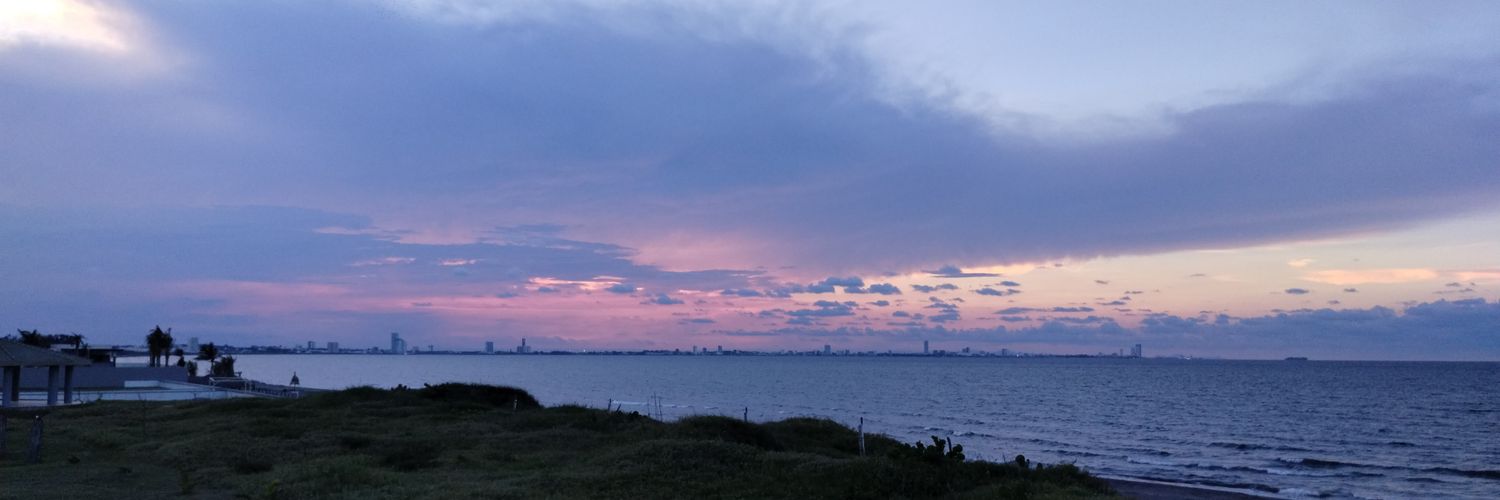 Fionenei's profile banner image