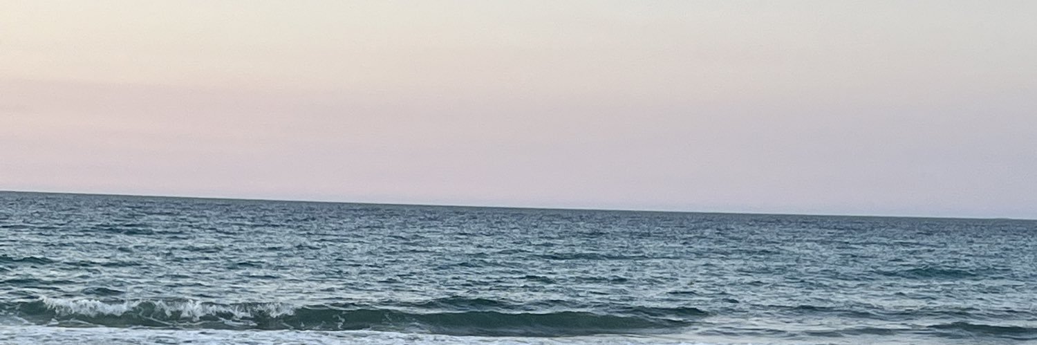 nicole_smithhx's profile banner image