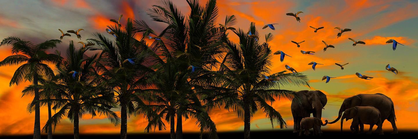 Rafael Delaghetto banner